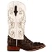 Ferrini Women's Print Hornback Caiman Western Boot