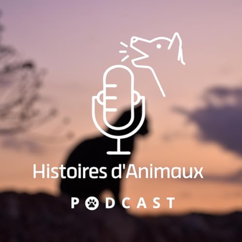 Cette juriste sauve des animaux abandonn&eacute;s ou maltrait&eacute;s