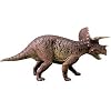 Tedco 4D Vision Triceratops Anatomy Model