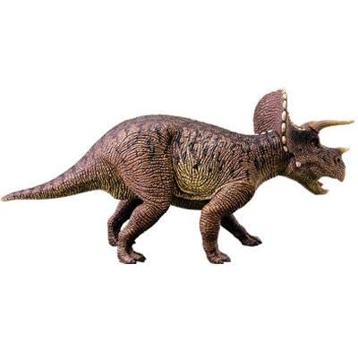 Tedco 4D Vision Triceratops Anatomy Model