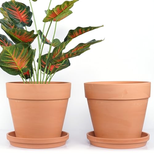 Yishang 10-Inch Terra Cotta Plant Pots (2-Pack)