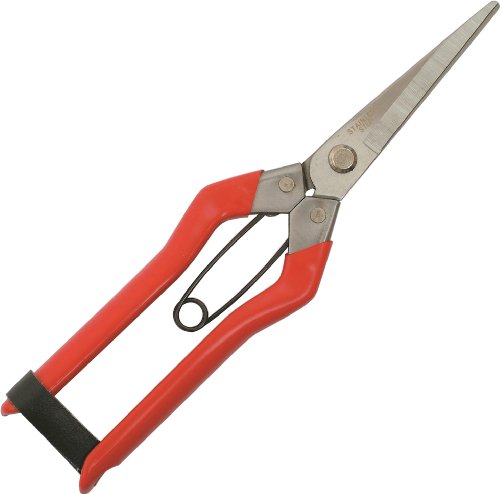 둾Y n XeX 215mm 600320