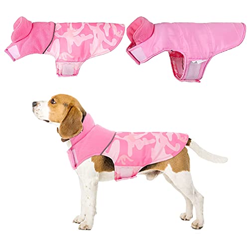 Dora Bridal Dog Hoodie Coat Set, Bundle With One Dog Winter Jacket And One Dog Autumn Hoodie, Comfortable Winter Puppy Jacket, Puppy Breathable Pullover Jumpsuit Sweater Hoodie For Boy Girl Pets #TOP1