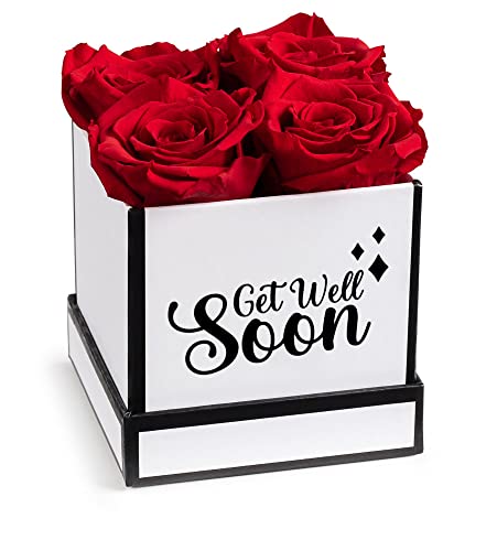Soho Floral Arts Get Well Gifts | Genuine Roses That Last For Years | Get Well Soon Gifts For Women And Men After Surgery Gift | Flowers For Delivery | Get Well Gifts For Women Rose Box #TOP12