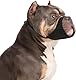 Yoolhamy Hundemaulkorb für Pitbull, weicher Maulkorb für Rottweiler, American Bully Bulldogge, Boxer, um Beißen und Bellen zu verhindern, für mittelgroße und große Kurze Schnauze für die Fellpflege