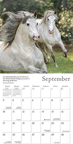 The Spirited Horse 2023 Wall Calendar, 16-Month Animal Calendar, 12" X 12" #TOP4