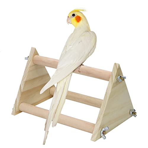 Parrot Wood Perch for Bird Macaw African Greys Budgies Parakeet Cockatoo Cockatiel Conure Lovebird Table Training Perch Stand Cage (7.9x5.5x5.5 inch)