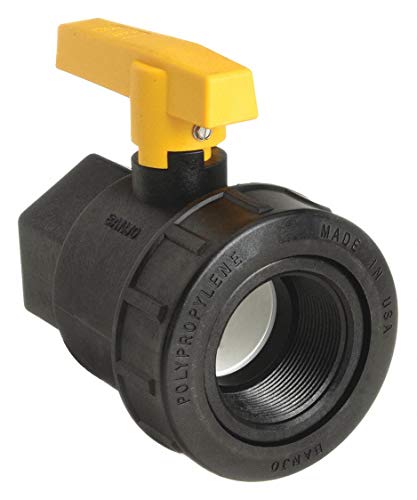 Banjo Polypropylene FNPT x FNPT Ball Valve, Lever, 2