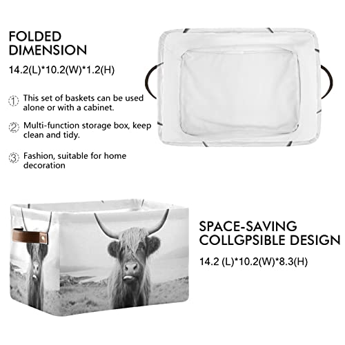 Xigua Scottish Highland Cow Print Storage Bin Collapsible Canvas Storage Basket Closet Organizer With Handles For Bedroom Nursery Shelves Laundry Room, 1 Pack #TOP2