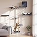 FUKUMARU Cat Wall Shelves, Stable & Safe 5 in 1 Cat Walls Furniture Set, Wooden Kitten Climbing Wall with Scratching Post for 16 Inch Drywall - Gray