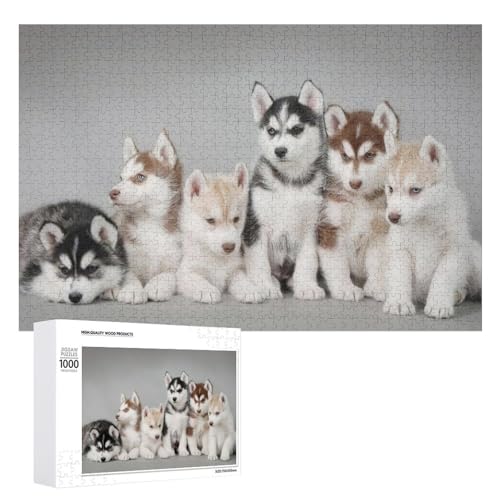 �V�x���A���n�X�L�[�o�X�\�[�v �p�Y�� �ؐ��W�O�\�[�p�Y�� ��l��/�q����/���S�Ҍ��� �e�q�Q�[�� �Ǐ��� ���蕨 �a���� 1000 PCS