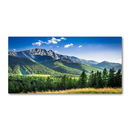 Fond de hotte verre de sécurité trempé 100x50cm splashback de cuisine paysage vert