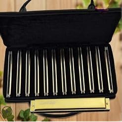 KMDSM Harmonica, Harmonica 28 trous 12 tons, Harmonica professionnel mineur for adulte, Or, argent (emballage cadeau… - Les Beatles, Paul McCartney, John Lennon, RIngo Starr, George Harrison KMDSM Harmonica, Harmonica 28 trous 12 tons, Harmonica professionnel mineur for adulte, Or, argent (emballage cadeau… – Image 2