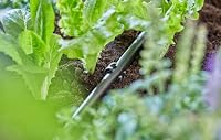 Gardena Micro-Drip-System Rohrhalter: Zur Befestigung und Führung des Verteilerrohrs in der Erde, für Rohre mit 13 mm Durchmesser (1/2 Zoll), Inhalt: 10 Stück (13208-20) – Ansicht 3