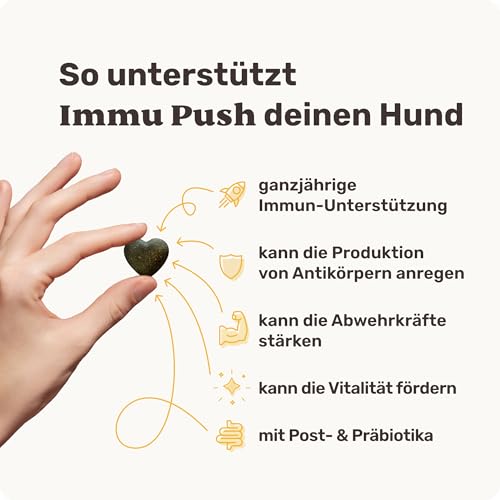 14-in-1 Immunsystem Leckerli für Hunde - Immu Push 120 Snacks (350g) von mammaly - Stärkt Abwehrkräfte mit Hagebutte, Granatapfel, Ashwagandha, Bierhefe,Zink - Reich an Antioxidantien, Vitamin A, C, K
