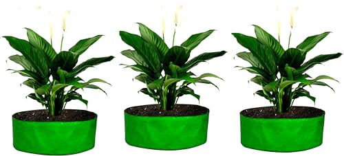 Image of MASHKI HDPE Grow Bags for Home, Terrace & Balcony Gardening - Big Size Vegetable Plant Grow Bags (15x15, 18 inchx18 inch & 24 inchx24 inch - Heavy Duty, UV Stabilized) (3, 24x12 Inches)