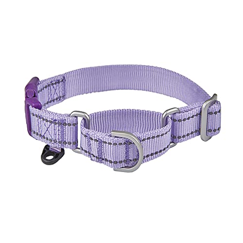 Keep Your Pup Safe and Secure with These Top 10 No Slip Dog Collars A