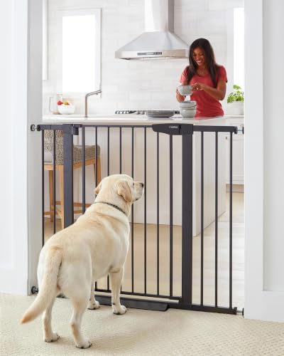 Image of Cumbor 36" Extra Tall Baby Gate, 30-46" Dog Gate Indoor Black | Dual Lock Pet Gates with Wide 2-Way Door, Pressure Mounted Safety Gate for Babies & Pets, Fits Doorways, Stairs, and Entryway