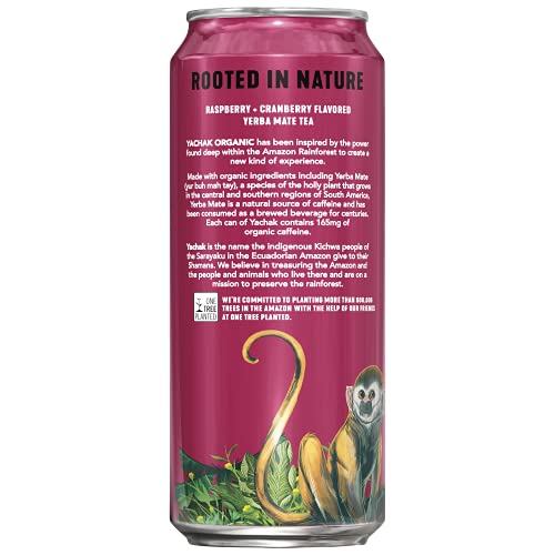 Yachak Yerba Mate Drink, Berry Red, 16 Fl Oz Cans, Pack of 12 (Packaging May Vary)