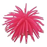 Forme unique et effet réaliste