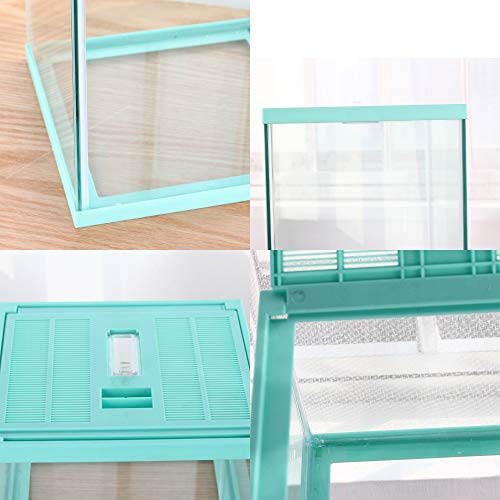 crapelles Tanque de terrário para répteis, caixa de aranha saltadora de caracol, caixa de insetos de