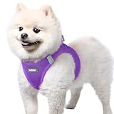 rabbitgoo Small Dog Harness, Step-in Soft Mesh Puppy Vest with Safety Buckle, Breathable Reflective Pet Harness for Small Sized Dogs, Purple S