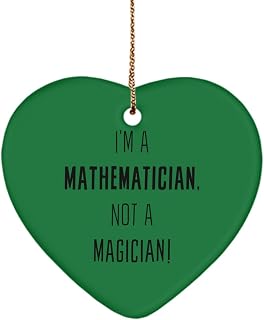 Mathematician Ornament Chartered Accountant dad Hanging Keepsake CPA mom Token Tax Bookkeeper Sibling Son Daughter Colleague Spouse