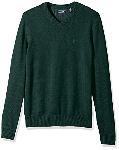 IZOD Men's Premium Essentials Solid V-Neck 7 Gauge Sweater (Discontinued), Botanical Garden Legacy, Medium