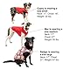 Kurgo Loft Hundejacke, wendbarer Wintermantel für Hunde, reflektierend, mit Geschirr zu tragen, wasserabweisend, für kleine, mittelgroße und große Haustiere (Lavalampe, S)