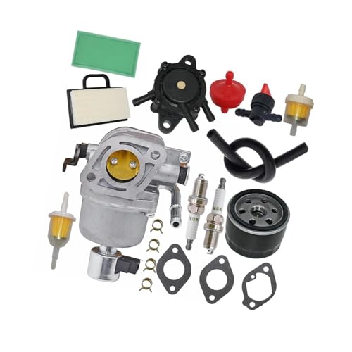 Carburateur 699807 20HP régulateur de flux avec filtres