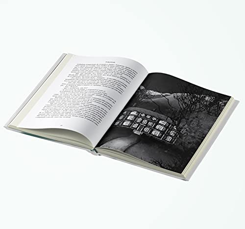 O Morro dos ventos uivantes: Acabamento de luxo - Laminação fosca - reserva de verniz - fitilho - ma