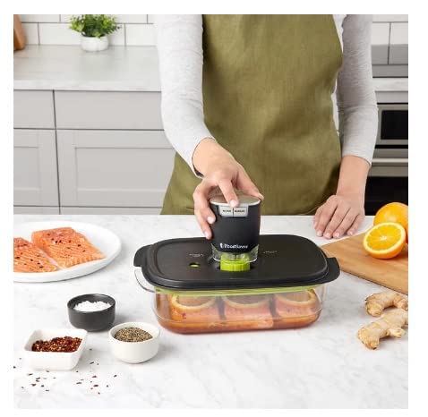 Foodsaver Fs2180 Multi-Use Handheld Vacuum Sealer #TOP3