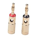 Haut-parleur : connecteur plaqué or et robuste, garantit une perte de signal et une distorsion du son minimales, fiches banane à vis