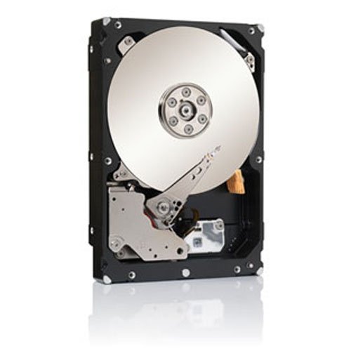 Seagate 2Tb Enterprise Capacity Hd Sas 6Gb/S 128Mb Cache 3.5-Inch Internal Bare Drive (St2000Nm0023) (Renewed) #TOP6