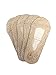 Bella Moda Women's Lace Casual No Show Non-skid Boat Socks Set of 5 (Beige)