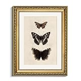 VIYYIEA Arte de pared de mariposa con marco dorado vintage, pinturas antiguas de marco de fotos