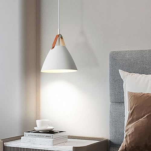Suspension de plafond à vis E27 de style industriel MMRTDJDR - 3