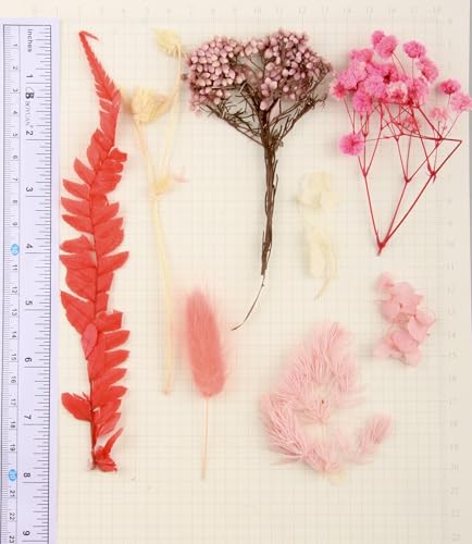 Flores secas 135 gramos para manualidades variadas miniatura 2
