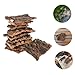 Kisangel 12pcs Natural Reptile Terrarium Bark Decor Climbing Platform for Lizards and Reptiles Realistic Tree Bark Background Small Habitat and Pet Enrichment