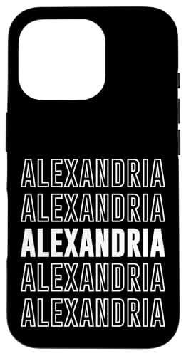 ANThA X}zP[X iPhone 16 Pro p