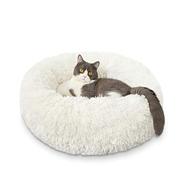 HACHIKITTY Dog Beds Calming Donut Cuddler, Puppy Dog Beds Large Dogs, Indoor Dog Calming Beds
