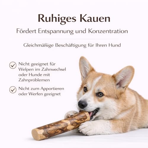 Alp Chew Olivenholz Kauholz für Hunde – Robustes Kauspielzeug zur Zahnpflege, Größe L (250–400 g), 2er Pack