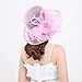 Women Organza Church Derby Hats Wide Brim Sun Hat for Tea Party Wedding Wide Brim Fascinator Hats Fashionable Fedora (Purple, One Size)