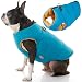 Gooby Padded Cold Weather Vest for Small Dogs with Safe Fur Guard Zipper Closure, Solid Turquoise, X-Large