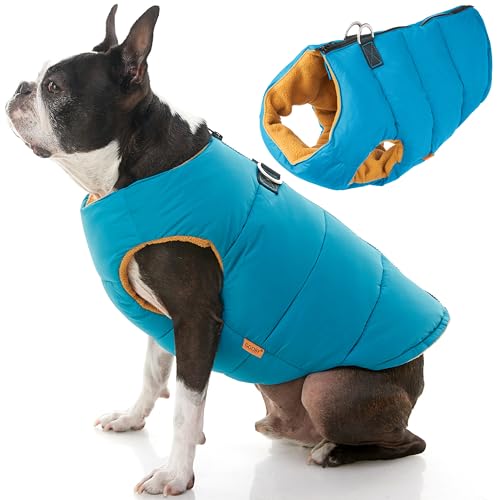 Image of Gooby Padded Vest Dog Jacket - Solid Turquoise, Medium - Warm Zip Up Vest Fleece Jacket with Dual D Ring Leash Water Resistant for Small to Medium Dogs