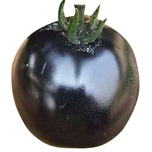 VibeX Giant Black Tomato Seeds -250 Seeds (B0B9Y5VHD3) Amazon Price History, Amazon Price Tracker