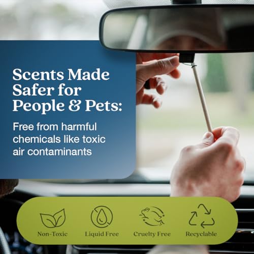 Image of Enviroscent Non-Toxic* Car Air Freshener Auto Stix - Scents Made Safer - Enjoy Fragrance Lasts Up to 180 Days - Includes Auto Stix Diffusers & Elastic Loops - Coastal Storm & Teakwood (Pack of 3)
