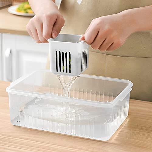 La Mejor review de Cajas para conservar alimentos que Puedes comprar On-line. 12 Imagen adicional