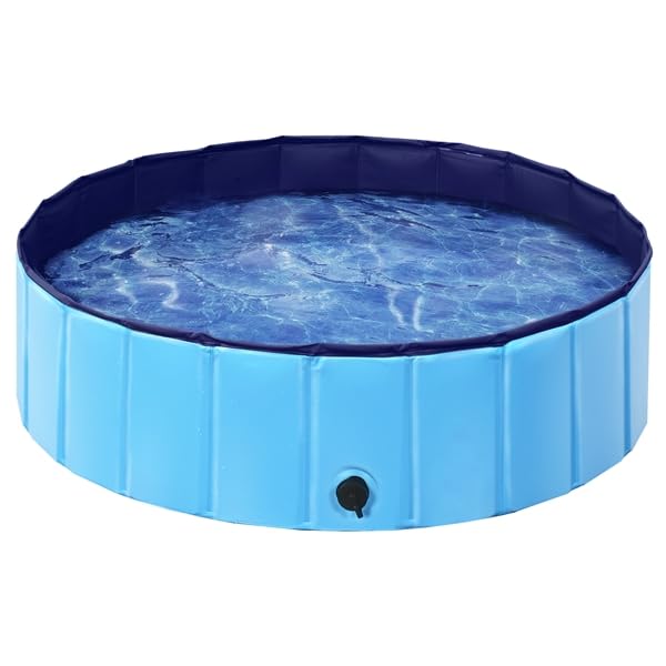 Bassin de baignade portable pour chien et chat dans le jardin en été