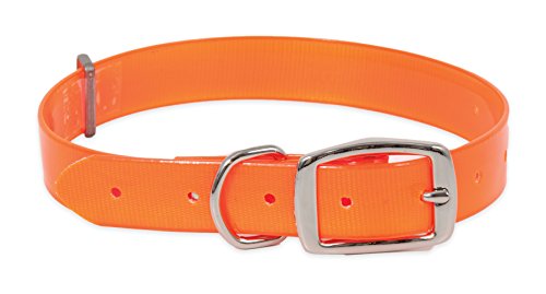 Petmate Aspen Pet Products 10791 Flat Dog Collar, 1 By 14 To 22-Inch, Orange #TOP30